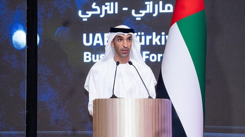 الإمارات: الشراكة مع تركيا تشهد ازدهارا وستشمل كافة قطاعات الاقتصاد